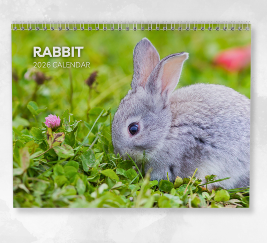 Rabbit Calendar 2026