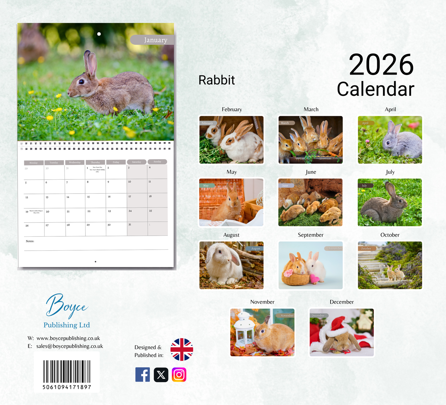 Rabbit Calendar 2026