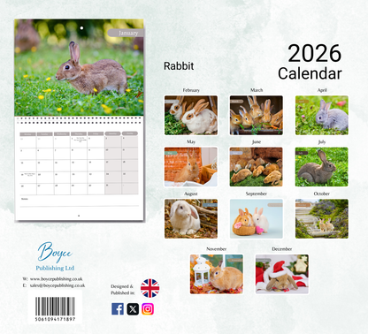 Rabbit Calendar 2026