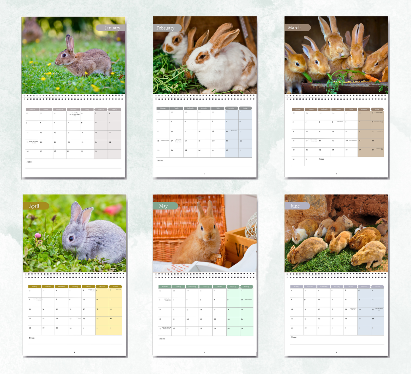 Rabbit Calendar 2026