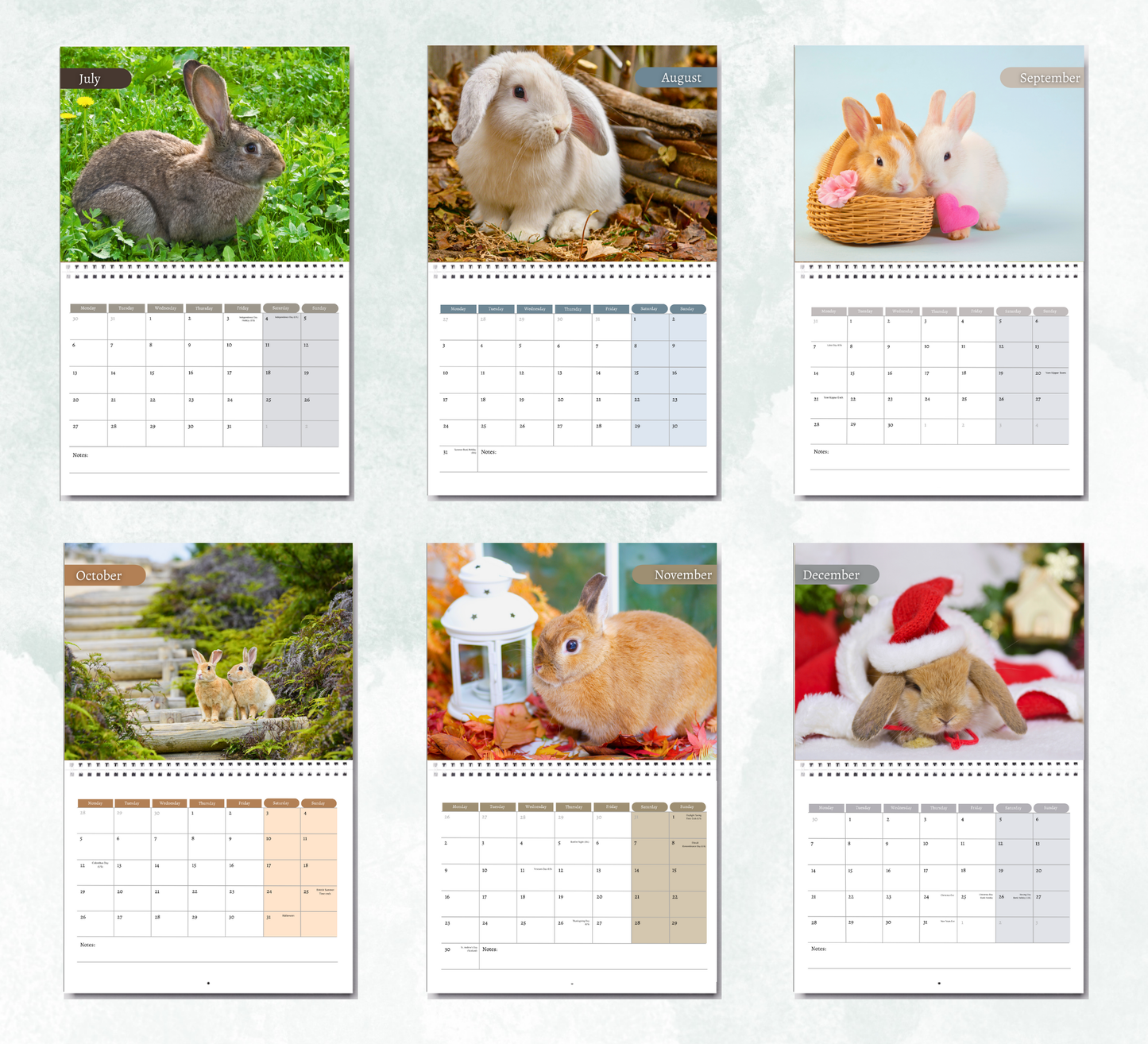 Rabbit Calendar 2026
