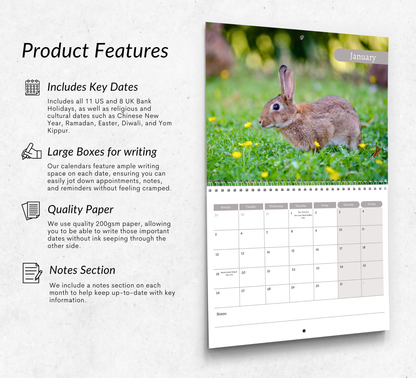 Rabbit Calendar 2026