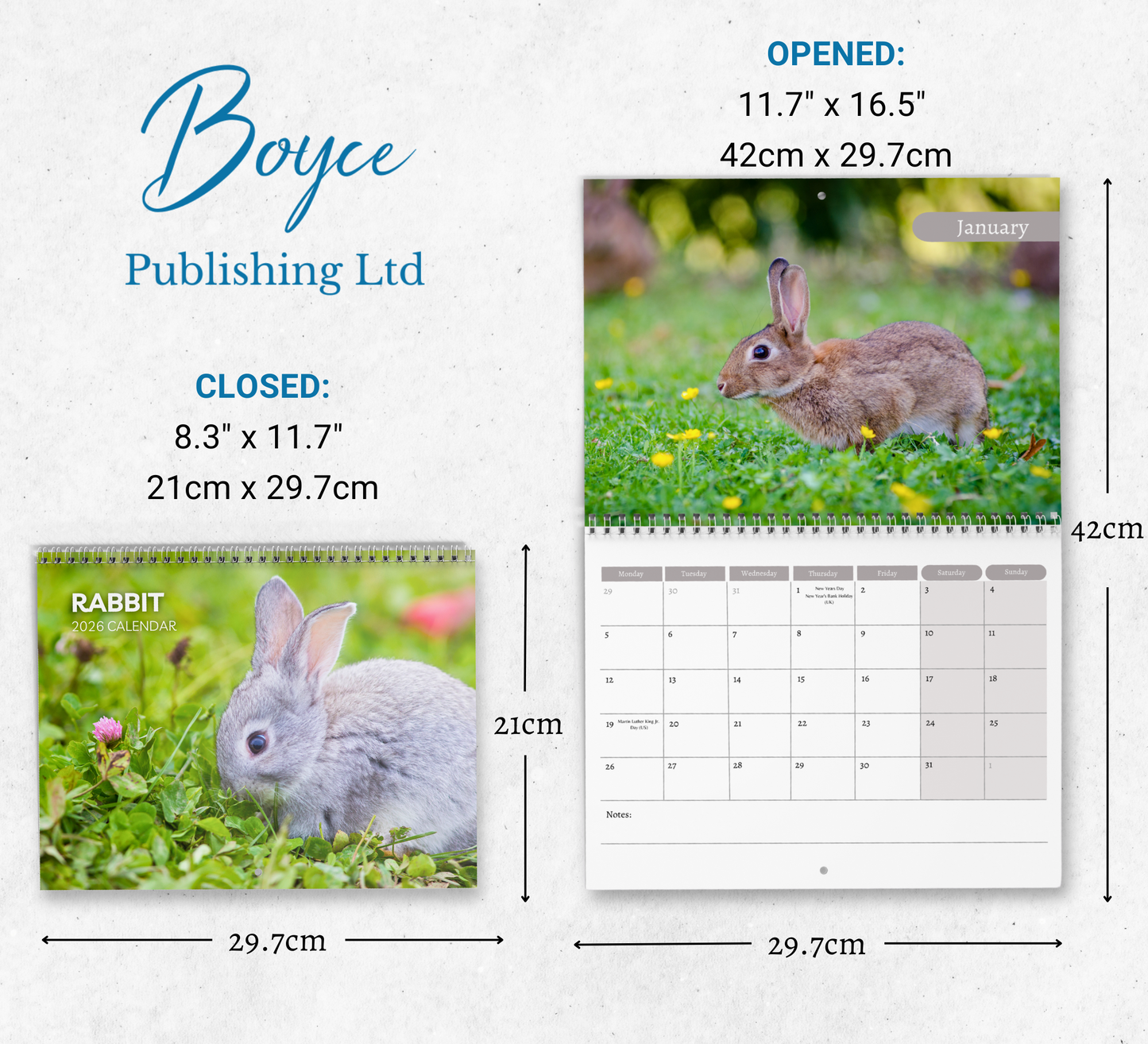 Rabbit Calendar 2026