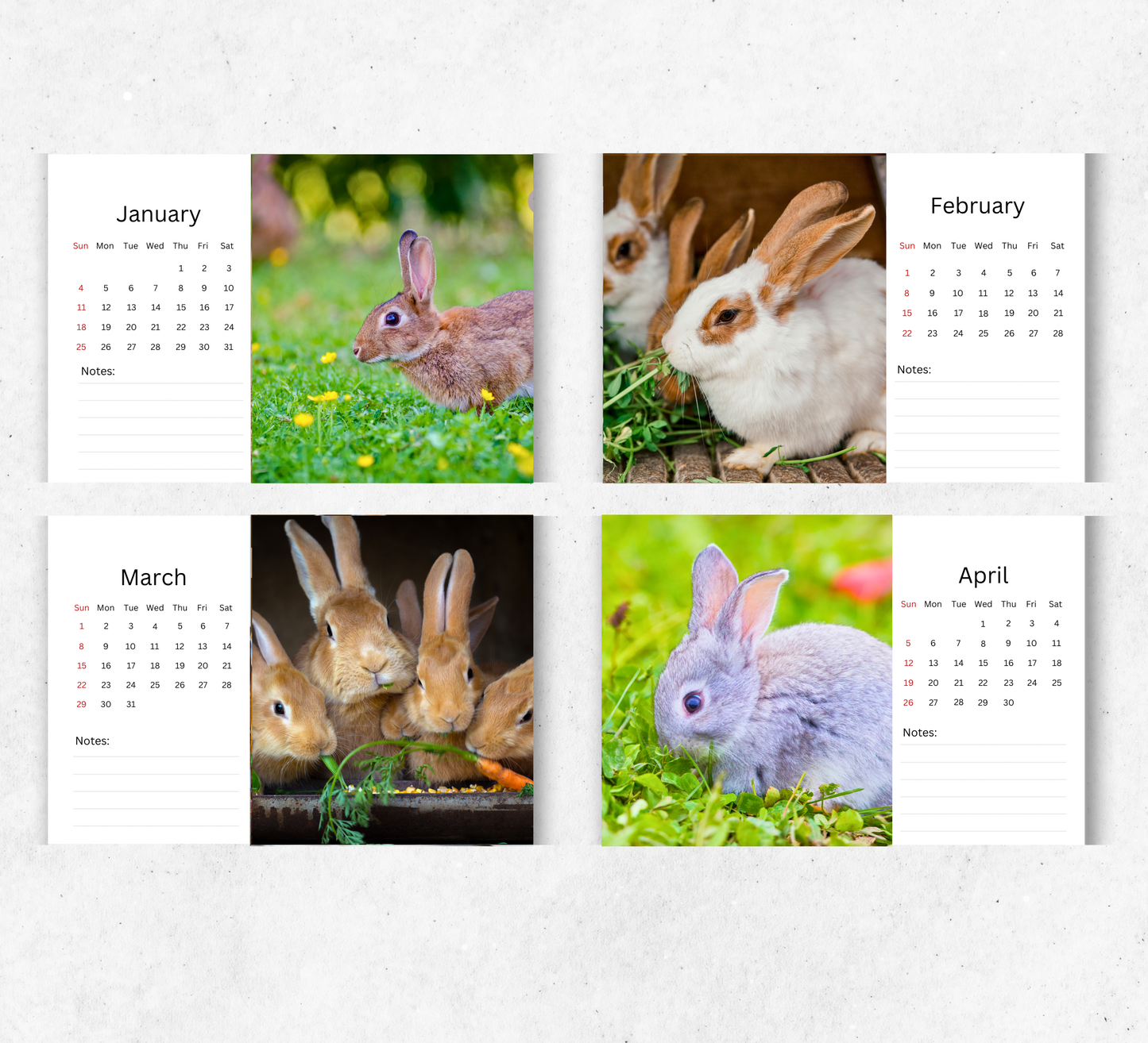 Rabbit Desk Calendar 2026-2027