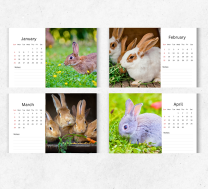 Rabbit Desk Calendar 2026-2027