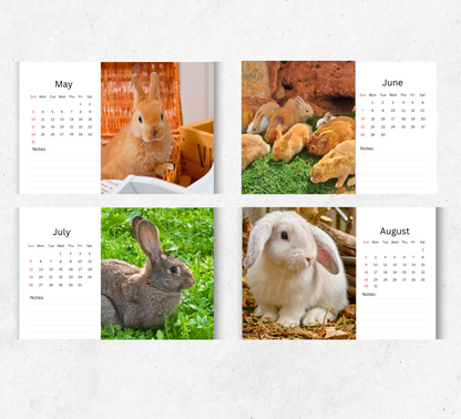 Rabbit Desk Calendar 2026-2027