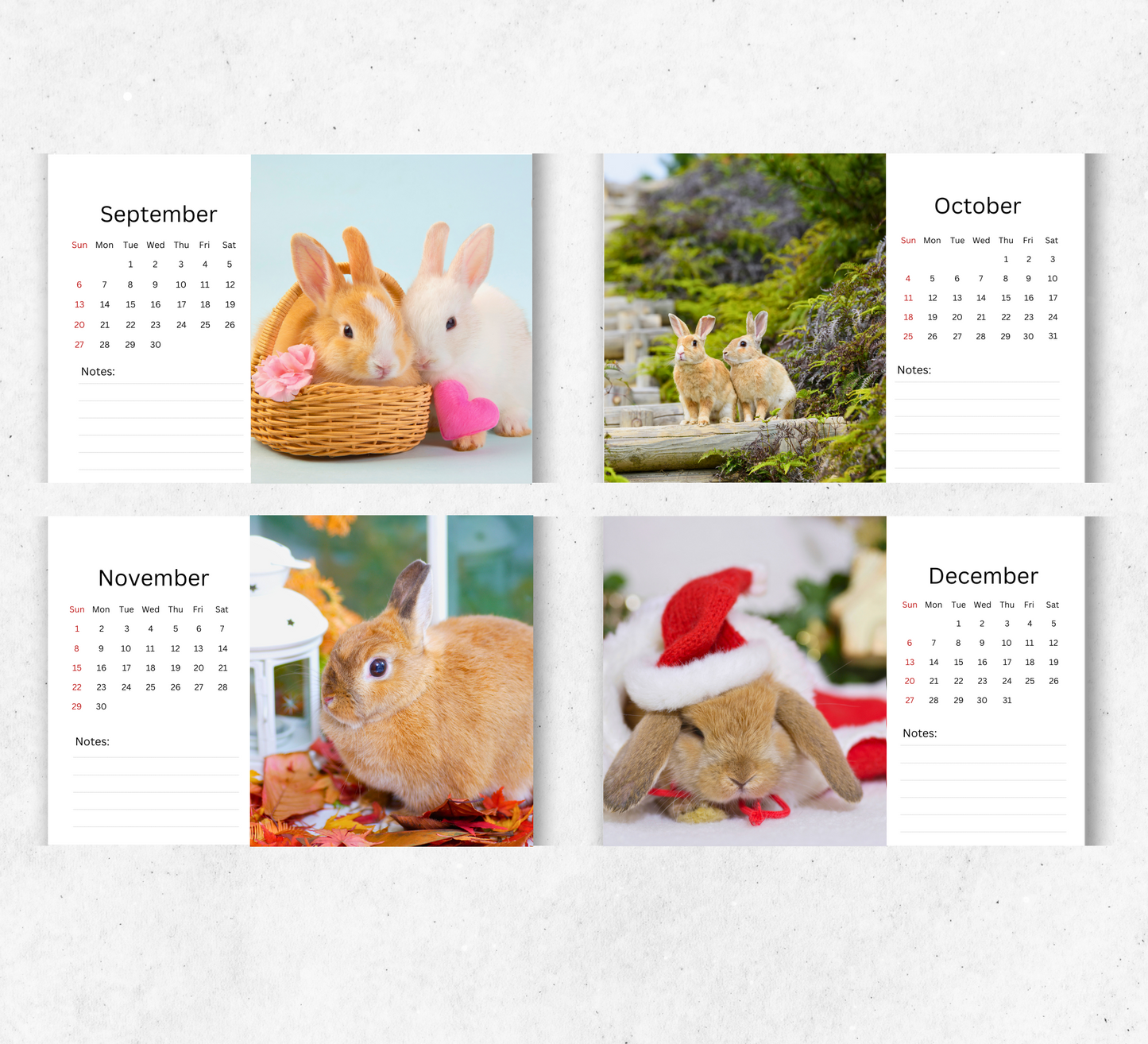 Rabbit Desk Calendar 2026-2027