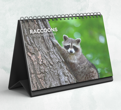 Raccoon Desk Calendar 2027-2028