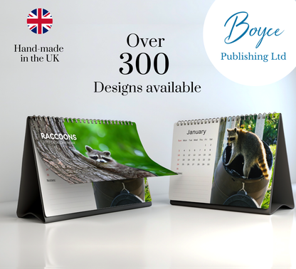 Raccoon Desk Calendar 2027-2028