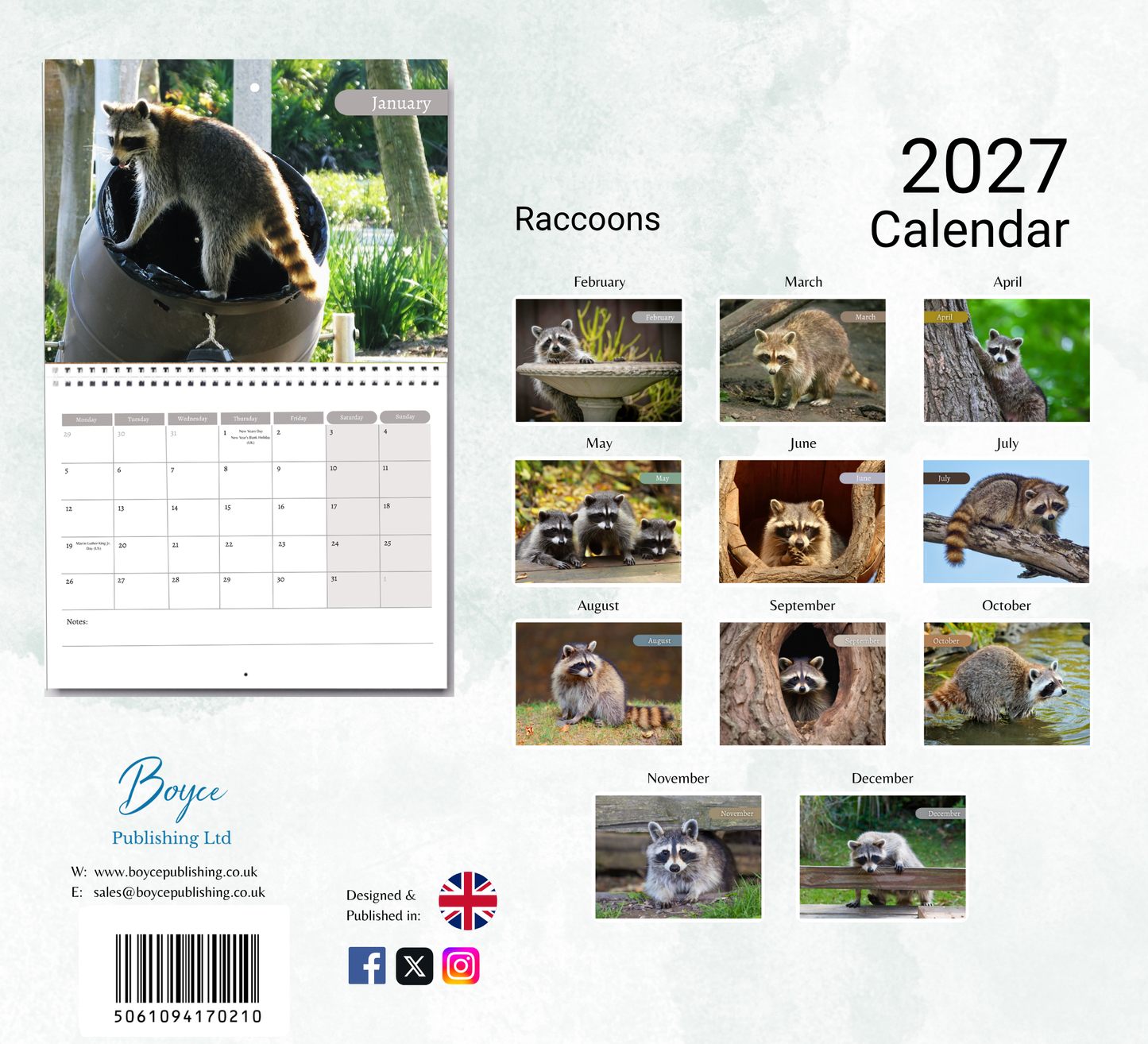 Raccoon Calendar 2027