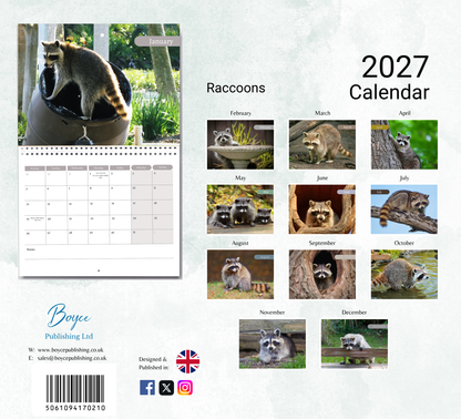 Raccoon Calendar 2027