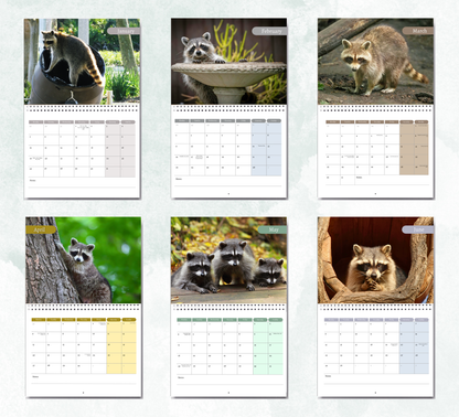 Raccoon Calendar 2027