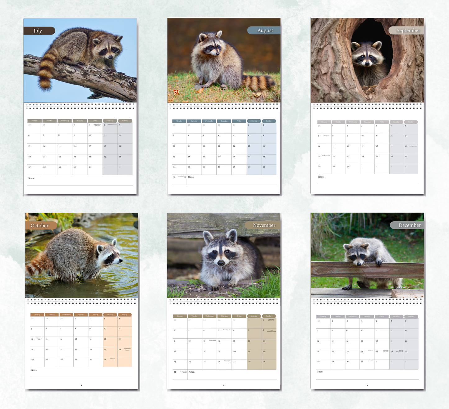 Raccoon Calendar 2027