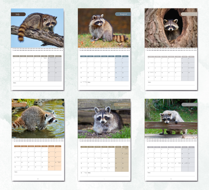 Raccoon Calendar 2027
