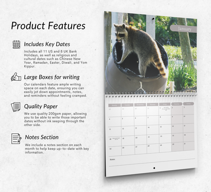 Raccoon Calendar 2027