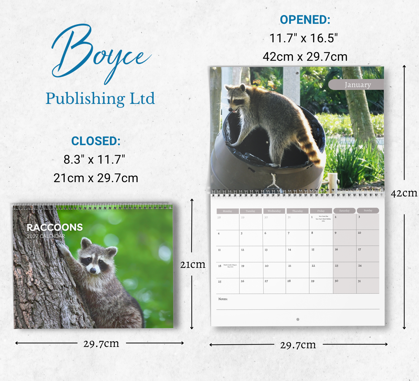 Raccoon Calendar 2027