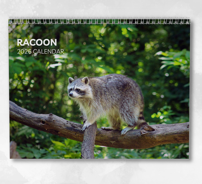 Racoon Calendar 2026
