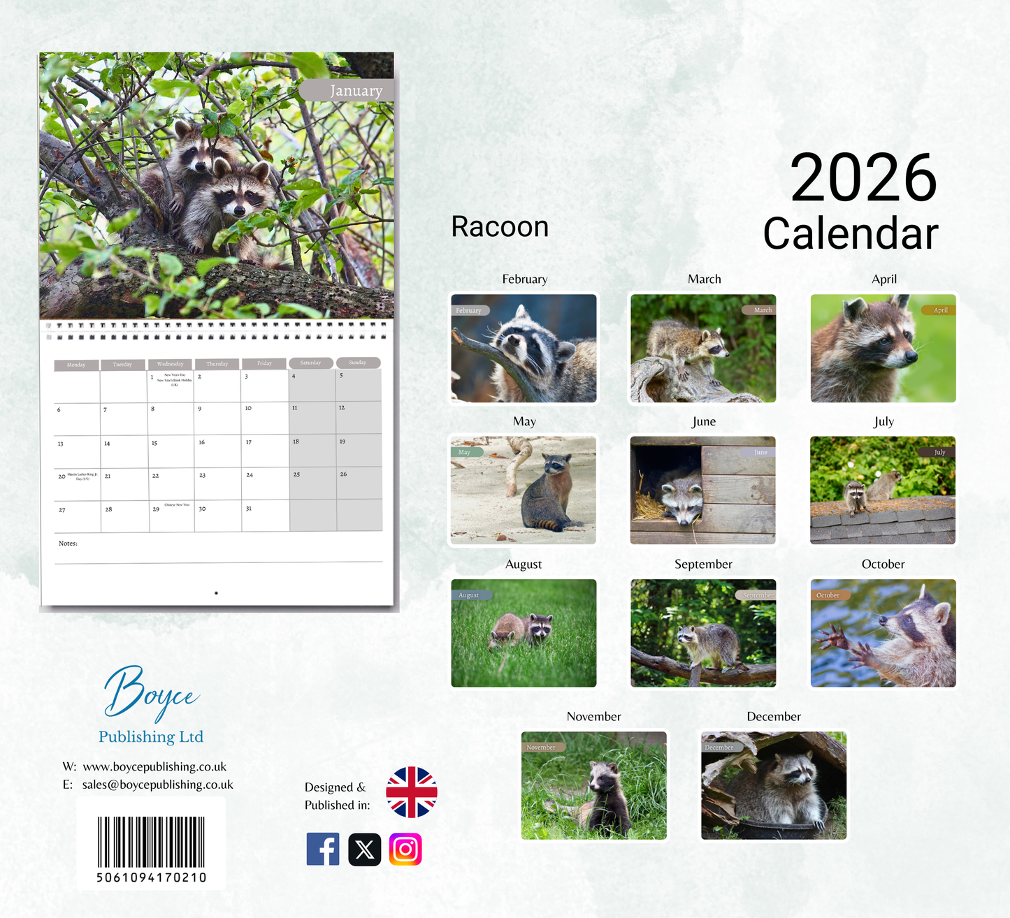 Racoon Calendar 2026