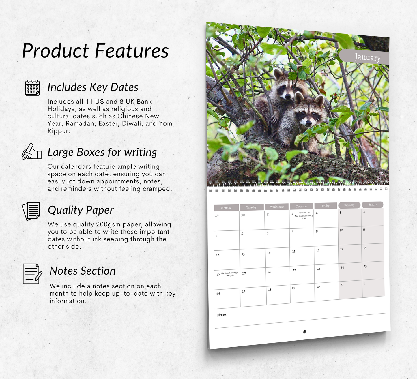Racoon Calendar 2026