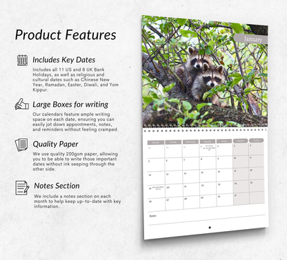 Racoon Calendar 2026