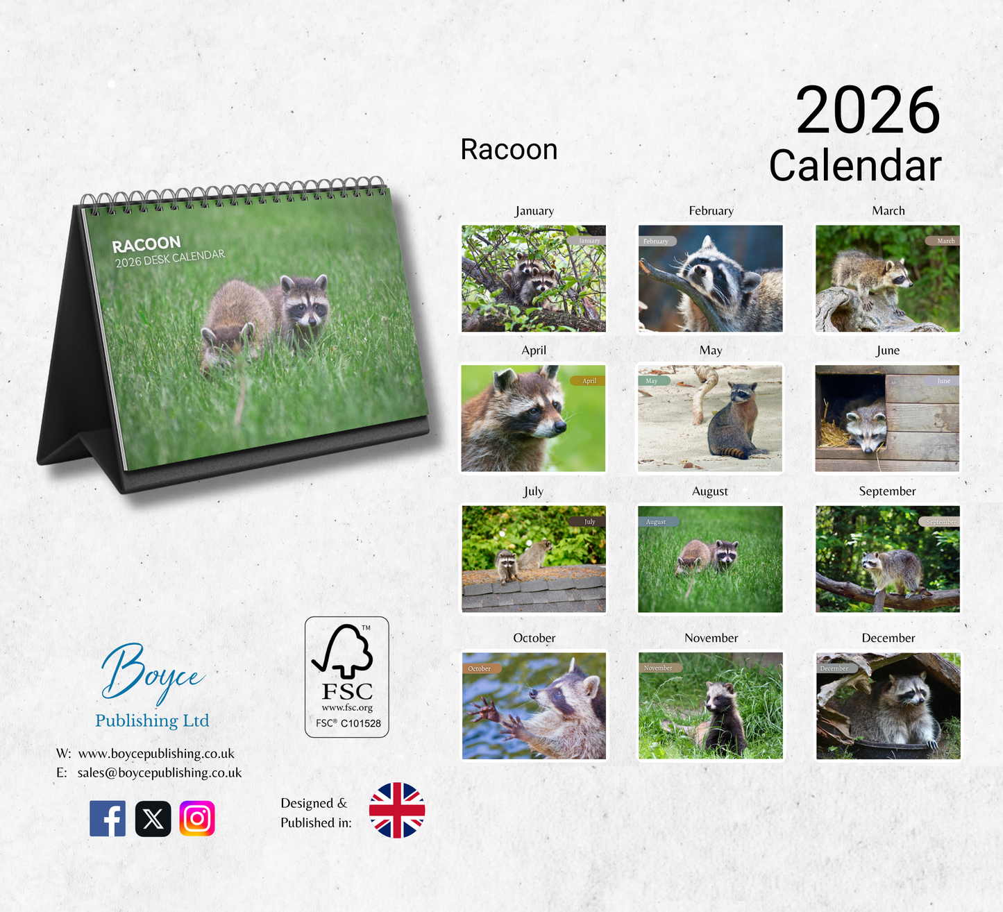 Racoon Desk Calendar 2026-2027
