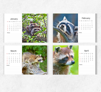 Racoon Desk Calendar 2026-2027