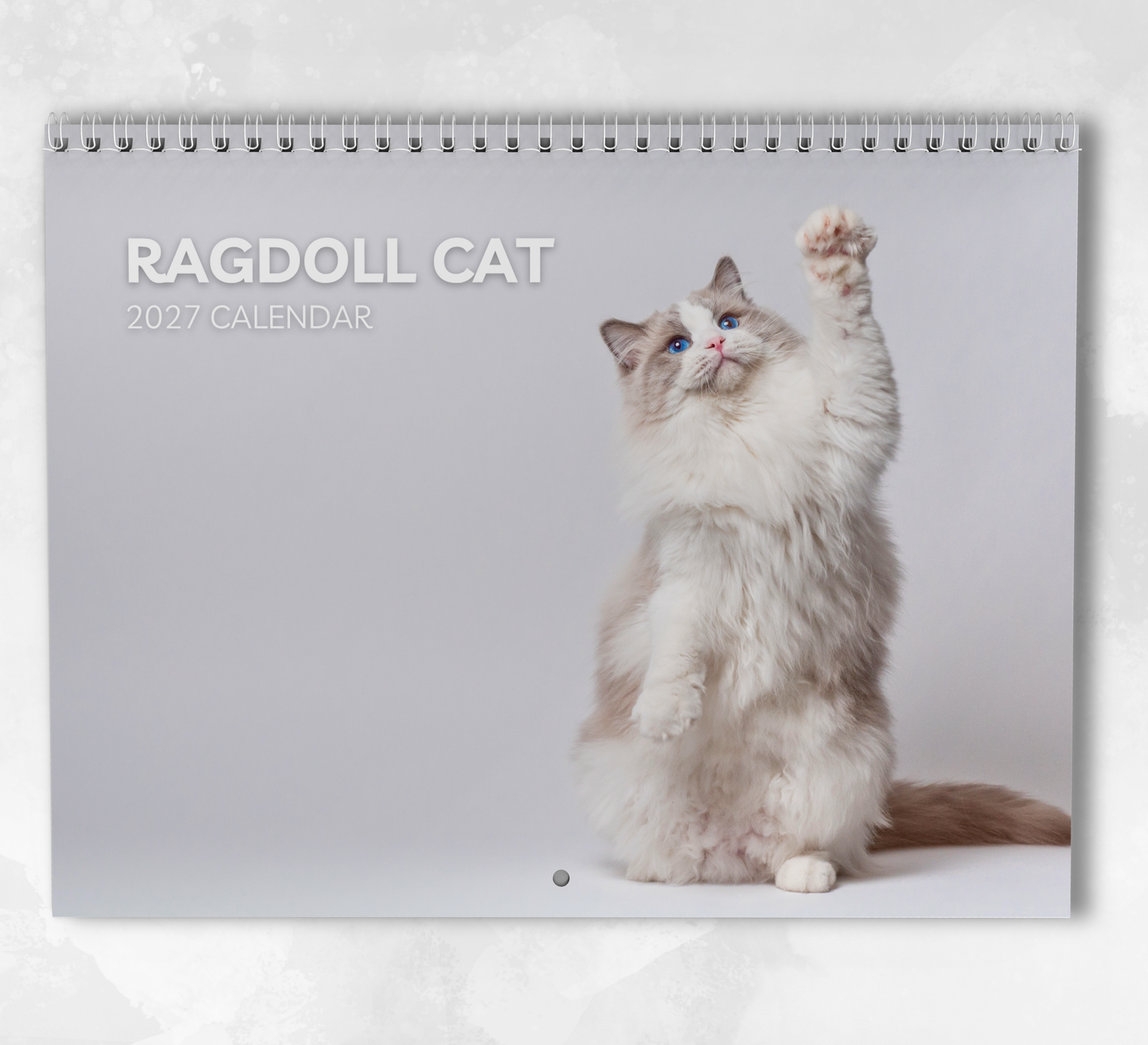 Ragdoll Cat Calendar 2027