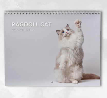 Ragdoll Cat Calendar 2027