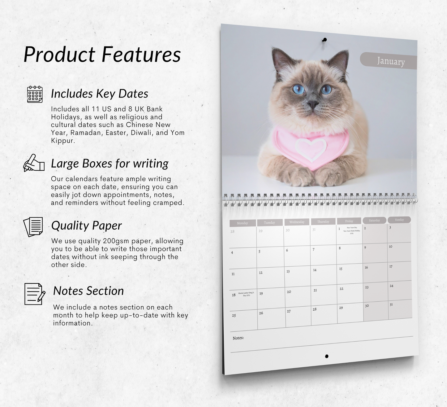 Ragdoll Cat Calendar 2027