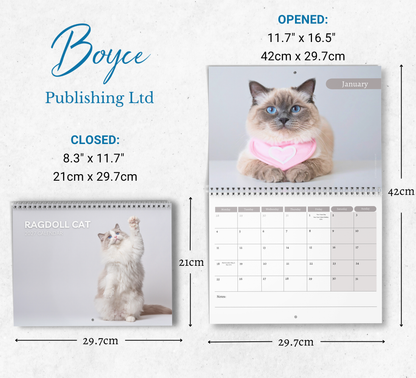 Ragdoll Cat Calendar 2027