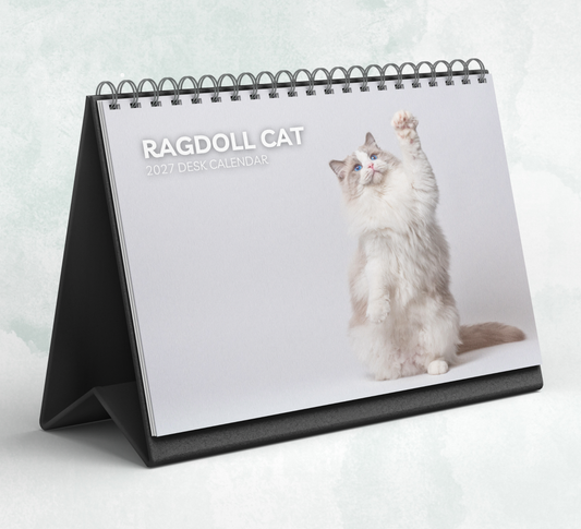 Ragdoll Cat Desk Calendar 2027-2028