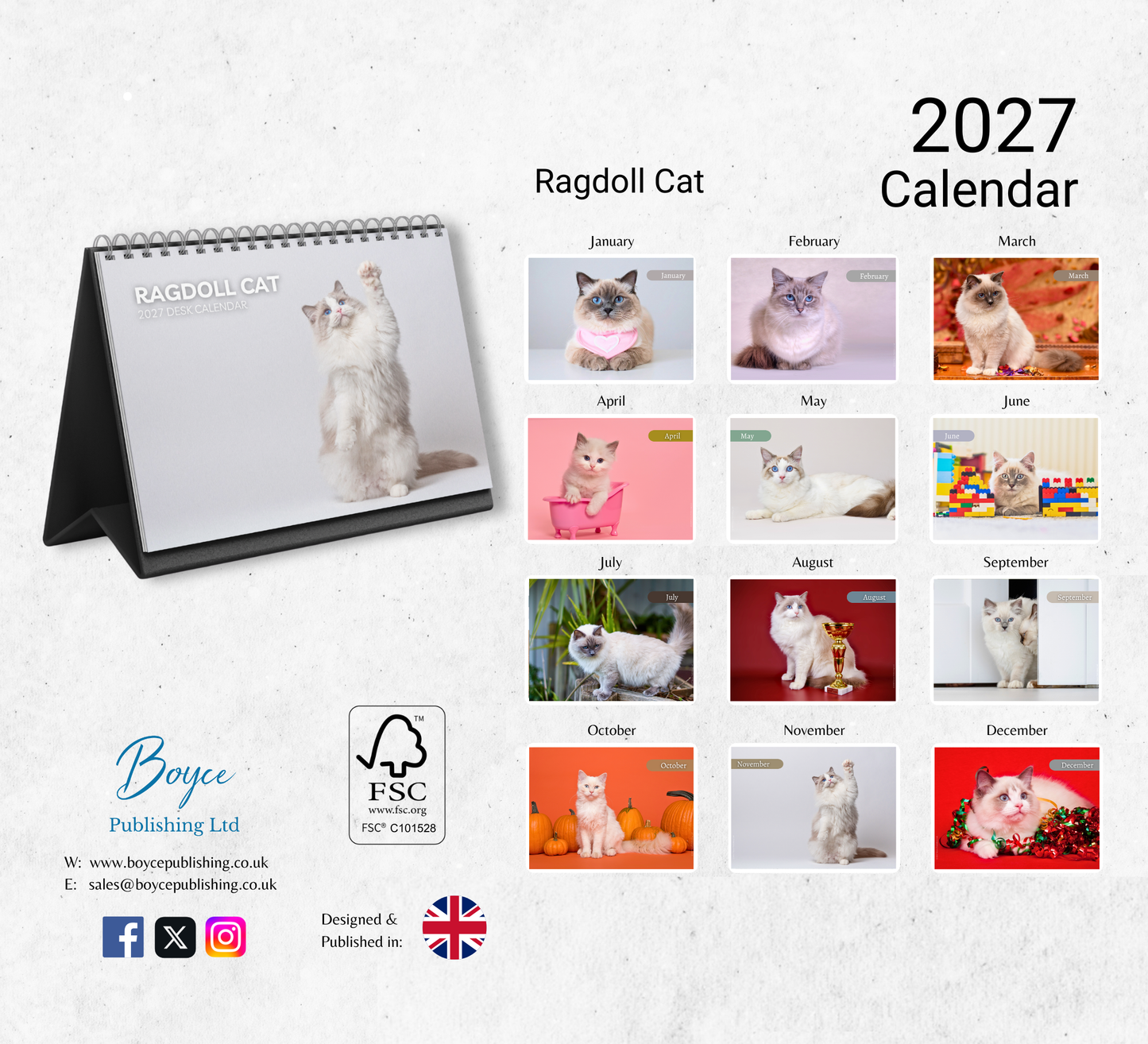 Ragdoll Cat Desk Calendar 2027-2028