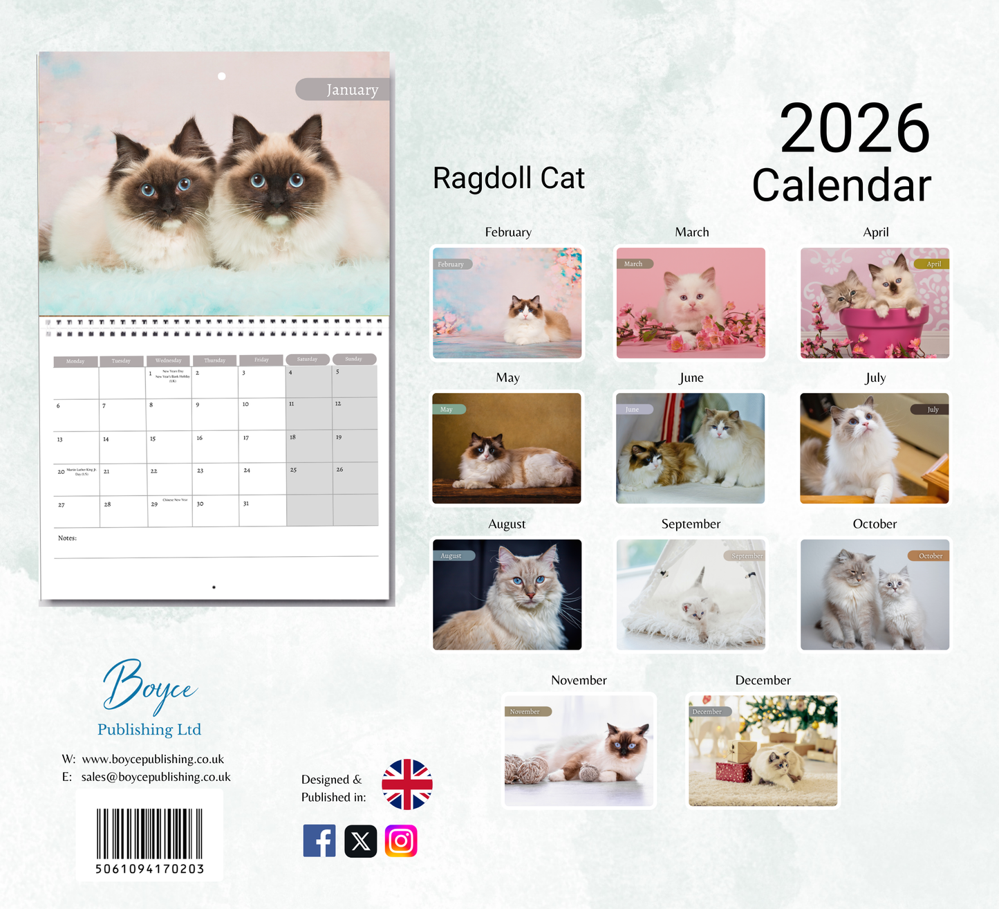 Ragdoll Cat Calendar 2026