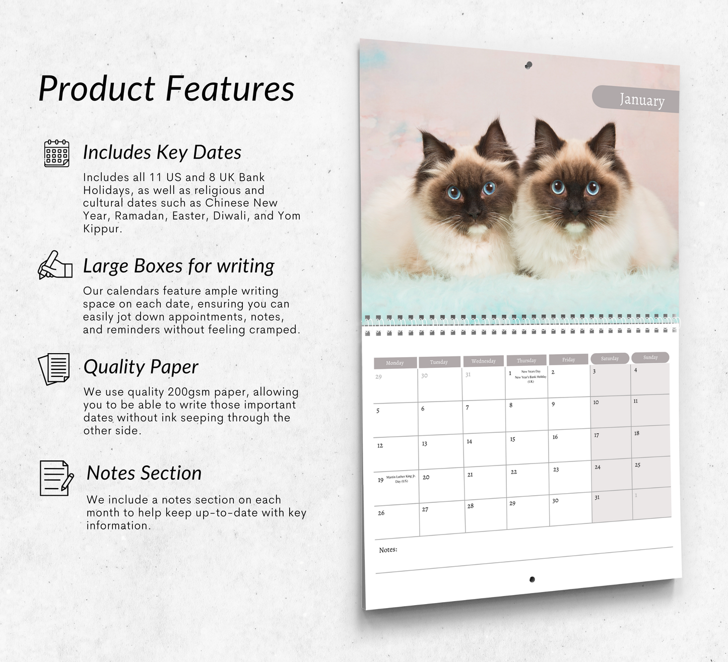 Ragdoll Cat Calendar 2026