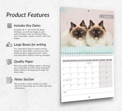 Ragdoll Cat Calendar 2026