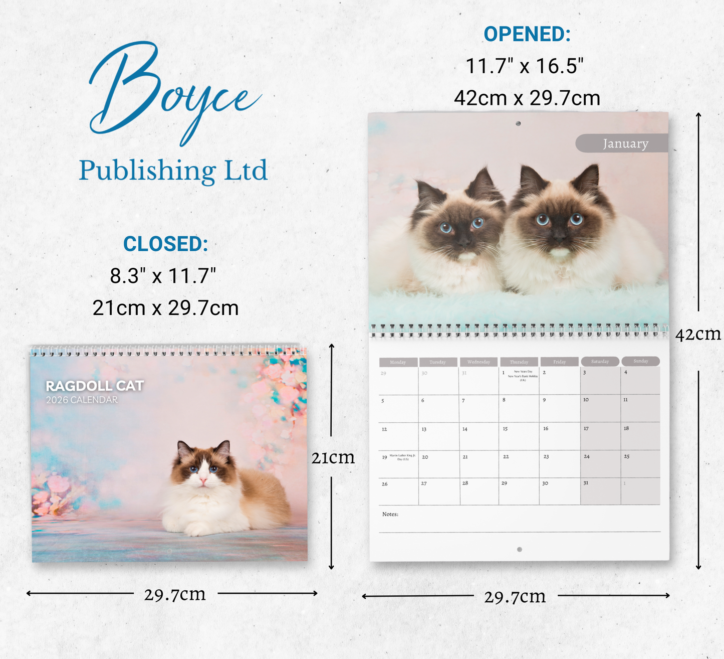 Ragdoll Cat Calendar 2026