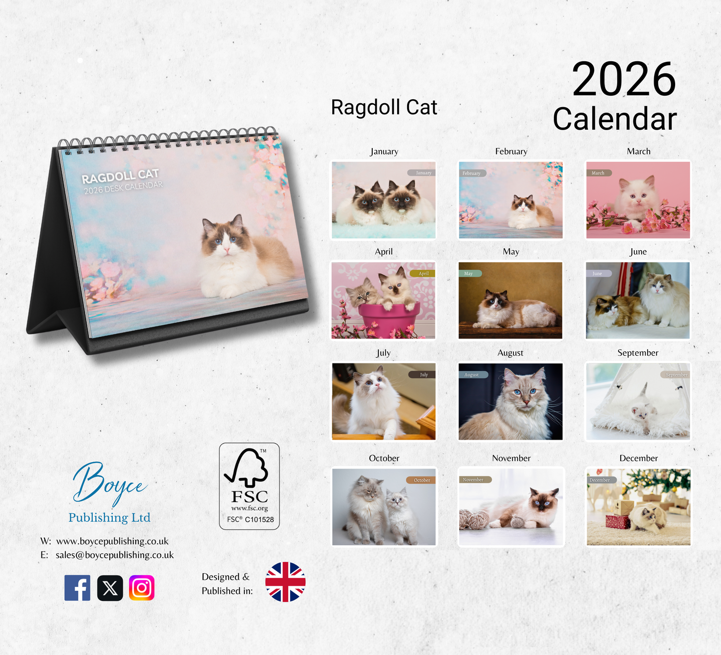 Ragdoll Cat Desk Calendar 2026-2027