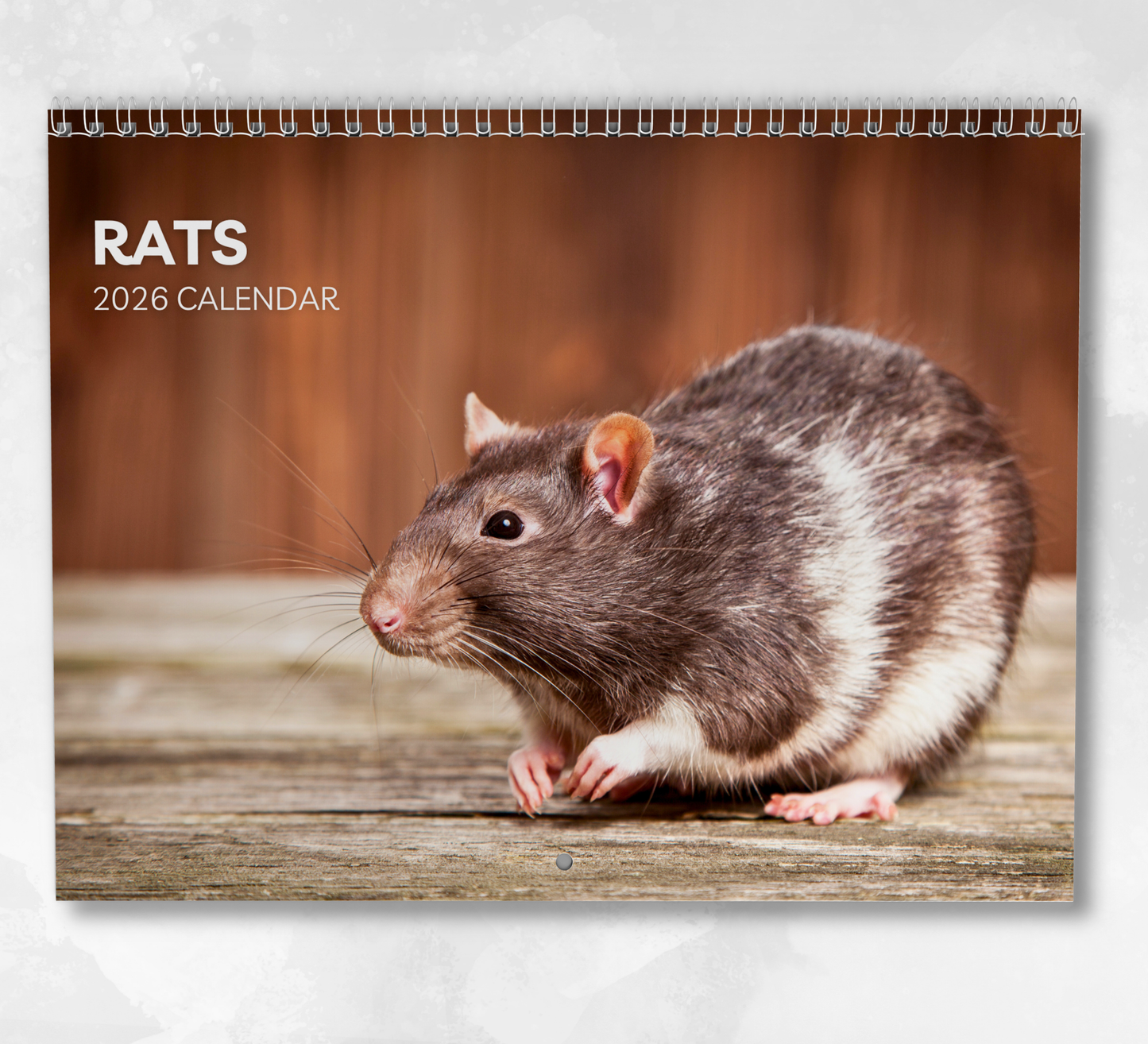 Rat Calendar 2026