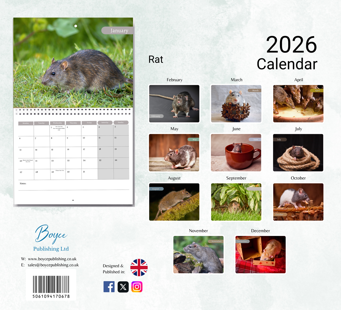 Rat Calendar 2026