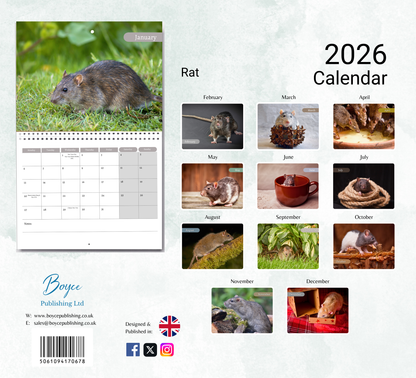 Rat Calendar 2026