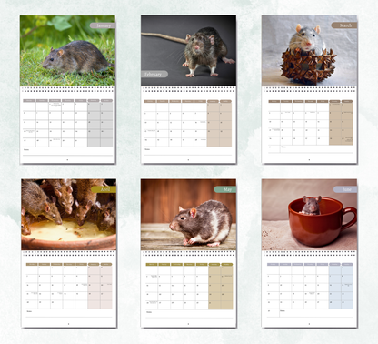 Rat Calendar 2026