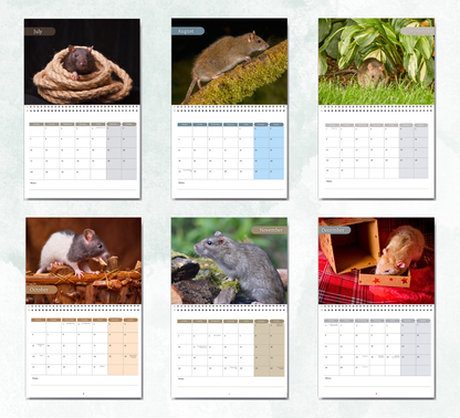 Rat Calendar 2026
