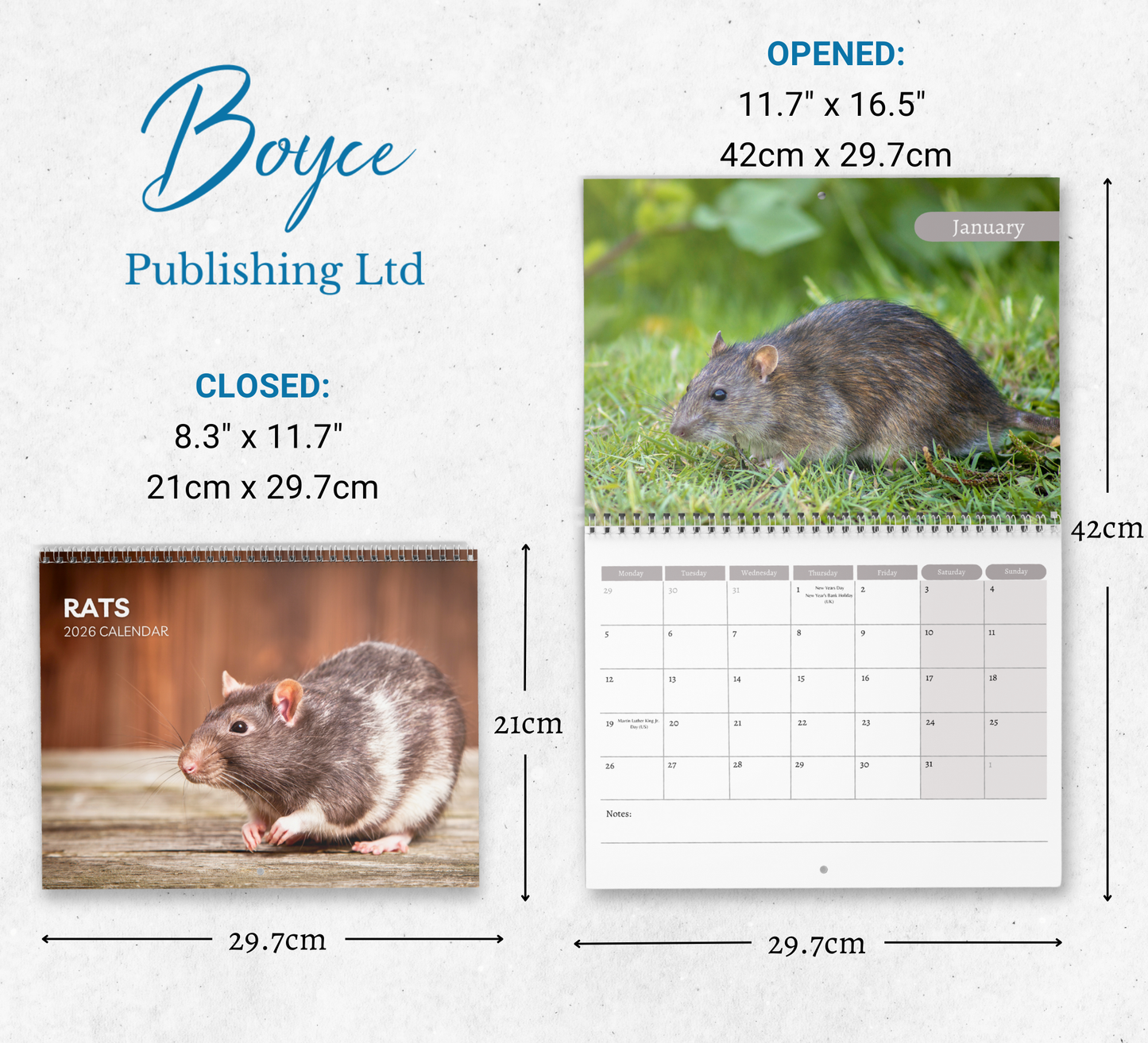 Rat Calendar 2026