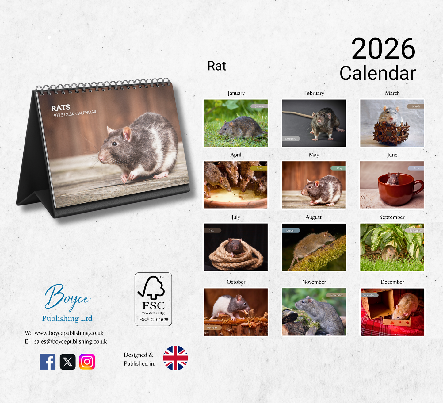 Rat Desk Calendar 2026-2027