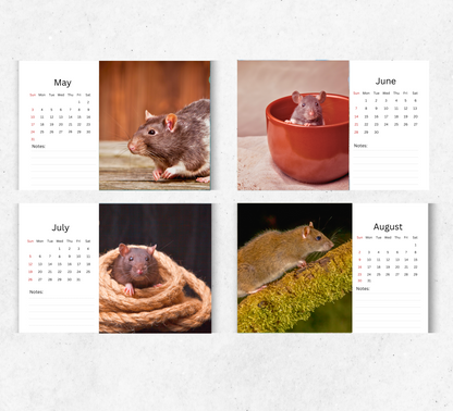 Rat Desk Calendar 2026-2027
