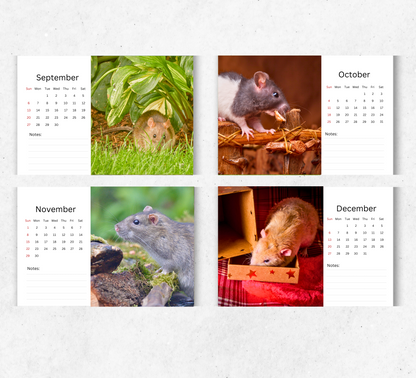 Rat Desk Calendar 2026-2027