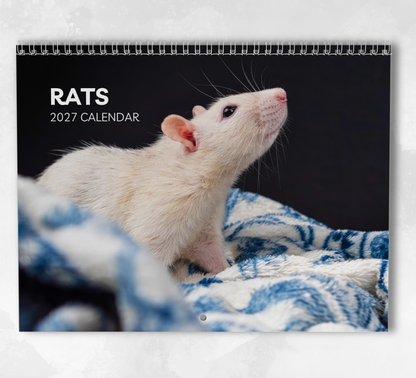 Rat Calendar 2027