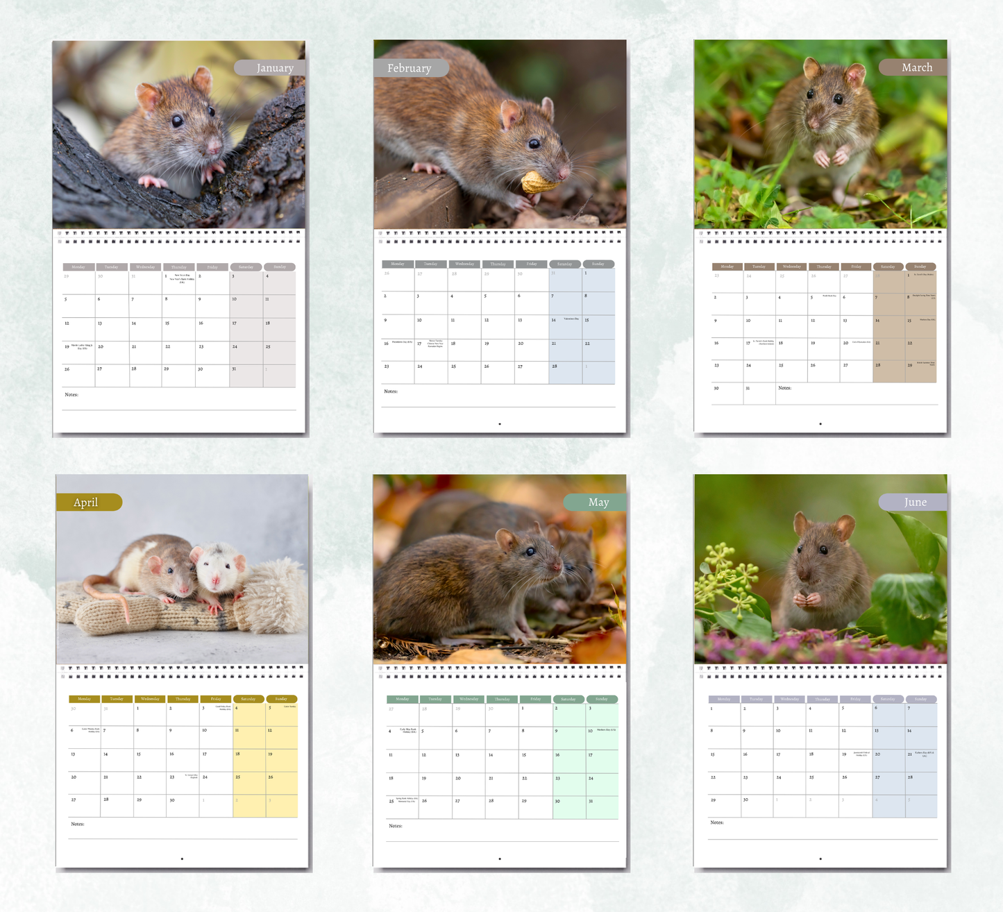 Rat Calendar 2027