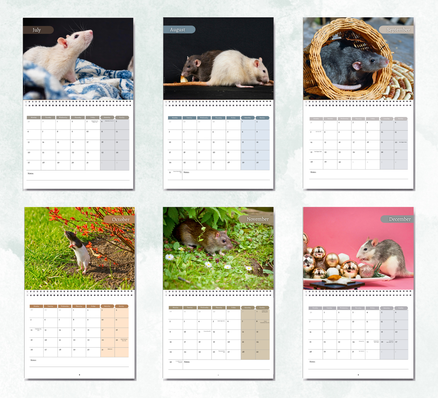 Rat Calendar 2027