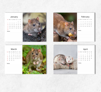 Rat Desk Calendar 2027-2028